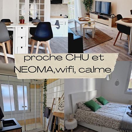 Antoine, Madamedemconciergerie Apartment Reims Luaran gambar