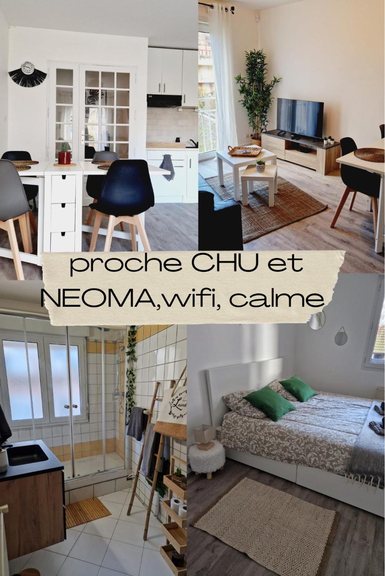 Antoine, Madamedemconciergerie Apartment Reims Luaran gambar
